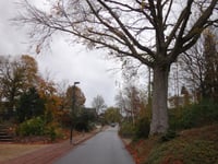 Merkelbeek über Wilmenweg