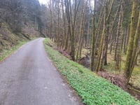 Merlenbach