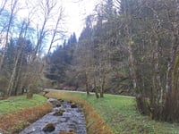 Merlenbach