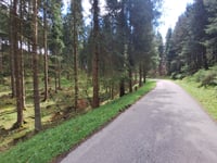 Merlenbach
