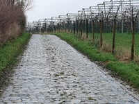 Mettekovenberg