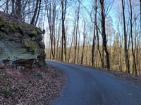 Metzenberg / Römischer Tempelbezirk Tawern