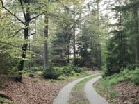 Middenweg