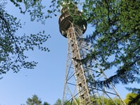 Middenweg