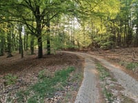 Middenweg
