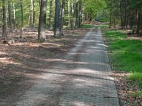 Middenweg