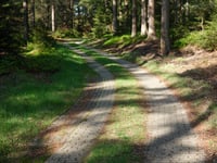Middenweg
