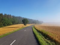 Leisert / Miesbierg z Drauffelt