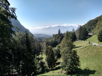 Millrütte z Götzis
