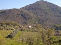 Minelle di Valnogaredo