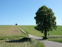 Korenweg