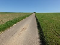 Korenweg