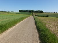 Korenweg