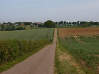 Korenweg