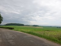 Vrouwenheide über Mingersborg
