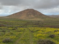 Mirador de Vallebrón from Tindaya