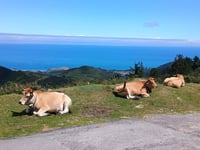 Mirador del Fitu von Lloroñi