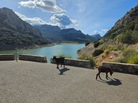 Mirador des Gorg Blau z Aqüeducte des torrent des Gorg Blau