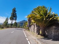 Mirador Montaña de Limón von Güímar