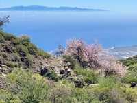 Mirador Montaña de Limón von Güímar