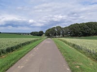 Misweg über Greyertweg
