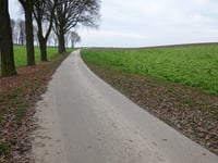 Misweg über Greyertweg