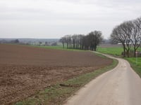 Misweg über Greyertweg
