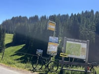 Mittelbergpass von Saanen