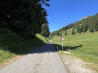 Mittelbergpass von Saanen