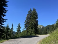 Mittelbergpass von Saanen