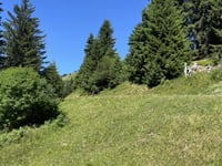 Mittelbergpass von Saanen