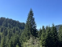 Mittelbergpass von Saanen