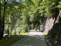 Mittelbergpass von Saanen