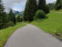 Mittelbergpass von Saanen