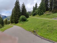 Mittelbergpass von Saanen