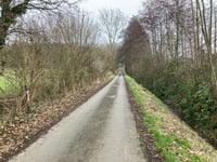 Moalenberg über Rochusweg
