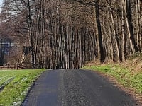Moalenberg über Rochusweg