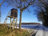 Moalenberg über Rochusweg