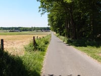 Moalenberg über Rochusweg
