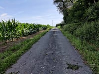 Moalenberg über Zu den Drei Höfen