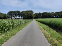 Moalenberg über Zu den Drei Höfen