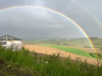 Mockelsbierg über Knaphoscheid