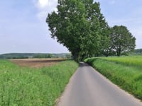 Moedermeule von Gelrode