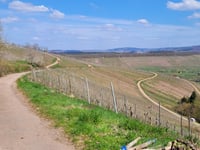 Möhlemskopf depuis Ayl