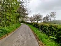 Banholt da Tebannet
