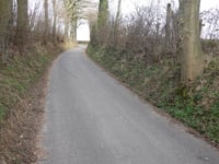 Banholt da Tebannet