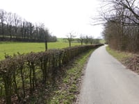 Banholt da Tebannet