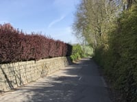 Banholt von Tebannet