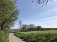 Banholt von Tebannet
