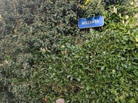Molenweg z Huldenberg
